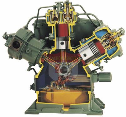 M&aacute;y n&eacute;n kh&iacute;  &aacute;p lực cao Puma TK 30160